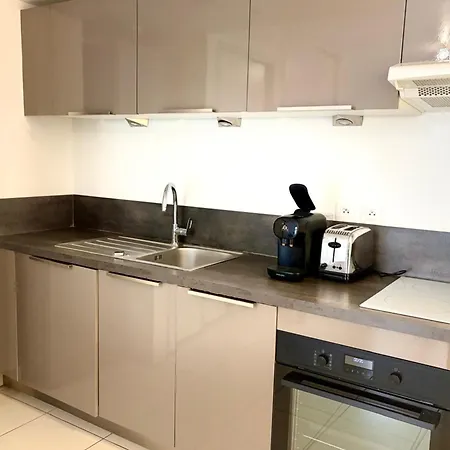 Apartment Near The With Parckage Antibes